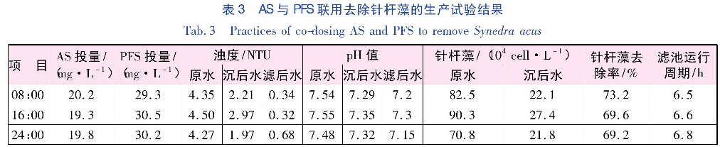 表3 AS與PFS聯(lián)用去除針桿藻的生產試驗結果